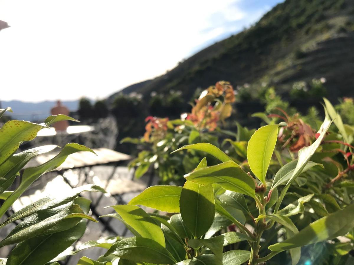Borgo Manca Suite Sasso di Castalda Zewnętrze zdjęcie